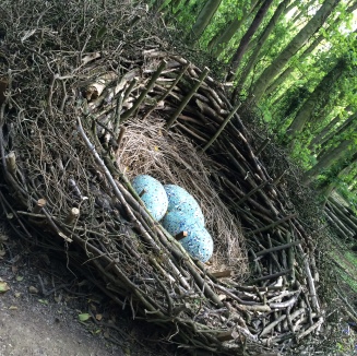 nest (10)